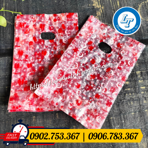 Túi hột xoài pp kiếng Túi hột xoài pp kiếng