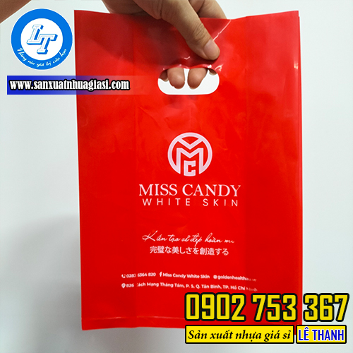 Túi hột xoài in logo Túi hột xoài in logo