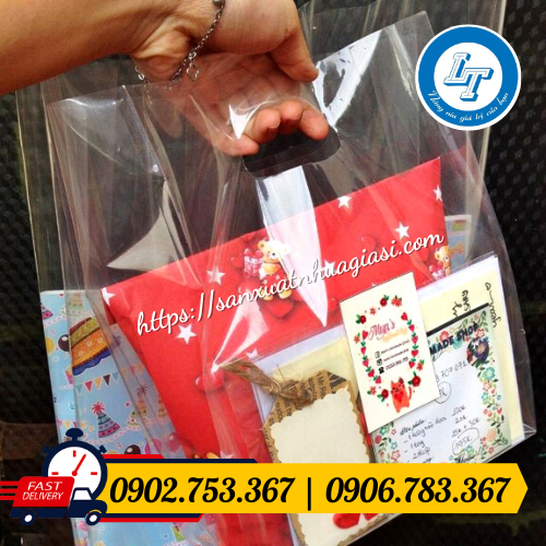 Túi hột xoài trong suốt đóng phụ kiện Túi hột xoài trong suốt đóng phụ kiện