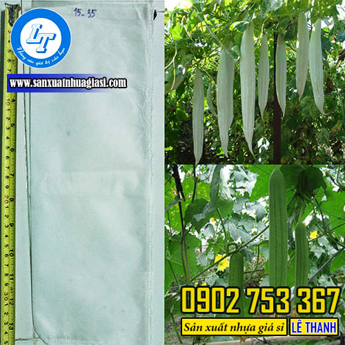 Lưới bọc bầu, bí, mướp