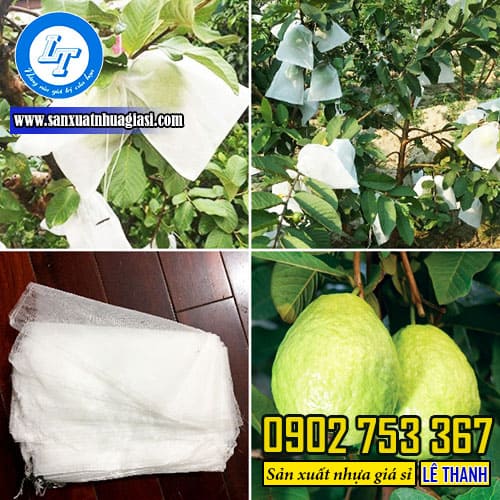 Túi lưới bọc trái cây là gì?