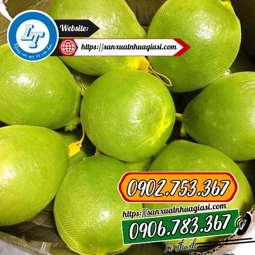 Túi lưới đựng bưởi 26cm Túi lưới đựng bưởi 26cm