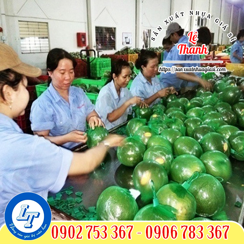 Túi lưới đựng bưởi Túi lưới đựng bưởi