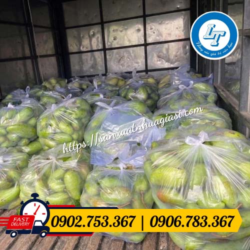 Khả năng chịu trọng lượng tốt của túi đục lỗ Khả năng chịu trọng lượng tốt của túi đục lỗ