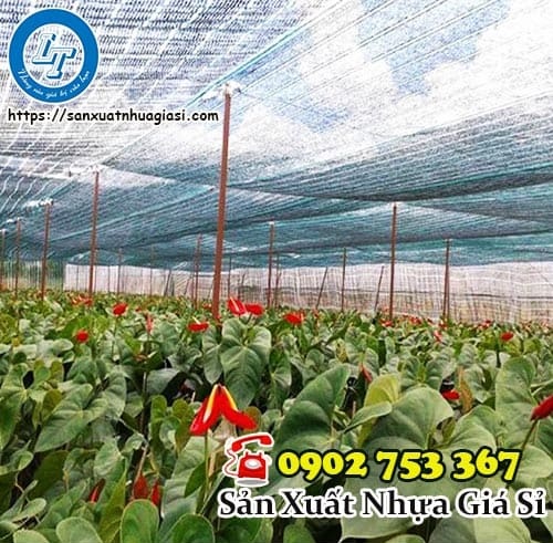 lựa chọn lưới che nắng cho lan phù hợp