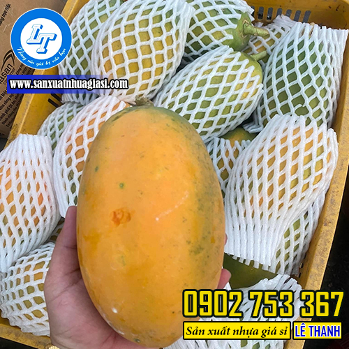 Ứng dụng của xốp lưới bọc hoa quả