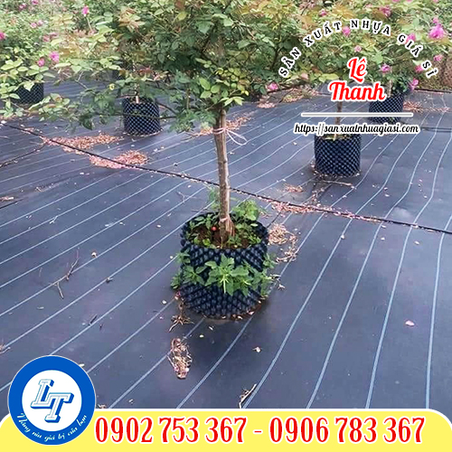 Ứng dụng bạt phủ trải đất chống cỏ Ứng dụng bạt phủ trải đất chống cỏ