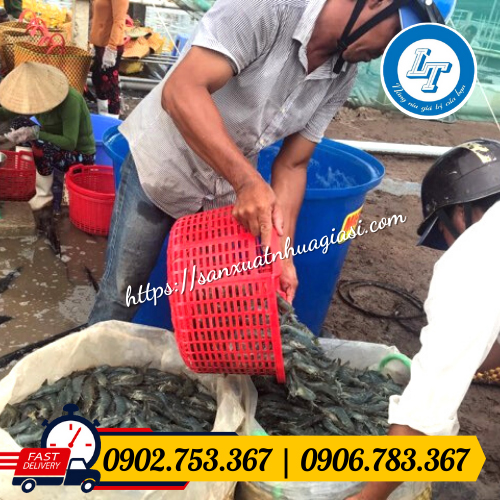 Ứng dụng cần xé nhựa đựng thủy hải sản Ứng dụng cần xé nhựa đựng thủy hải sản