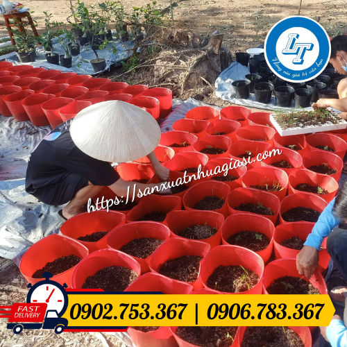 Ứng dụng chậu nhựa mềm Ứng dụng chậu nhựa mềm