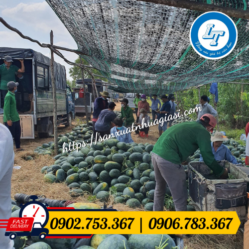 Ứng dụng lưới che mát trong sản xuất Ứng dụng lưới che mát trong sản xuất