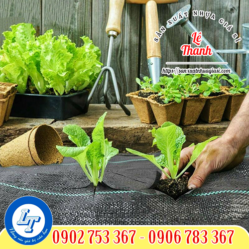 Công dụng của bạt phủ đất diệt cỏ Công dụng của bạt phủ đất diệt cỏ