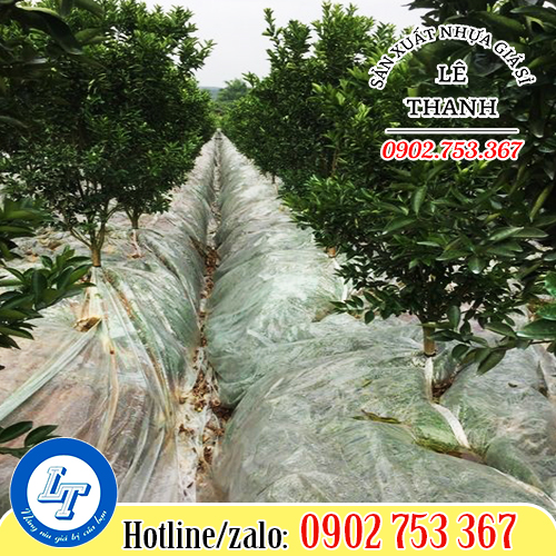 Lợi ích của màng phủ nông nghiệp màu trắng