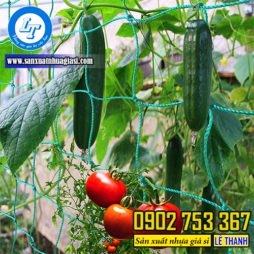 Ứng dụng làm giàn leo cho dưa leo Ứng dụng làm giàn leo cho dưa leo