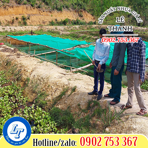 Ứng dụng lưới làm tráng nuôi lươn, ếch, ốc Ứng dụng lưới làm tráng nuôi lươn, ếch, ốc