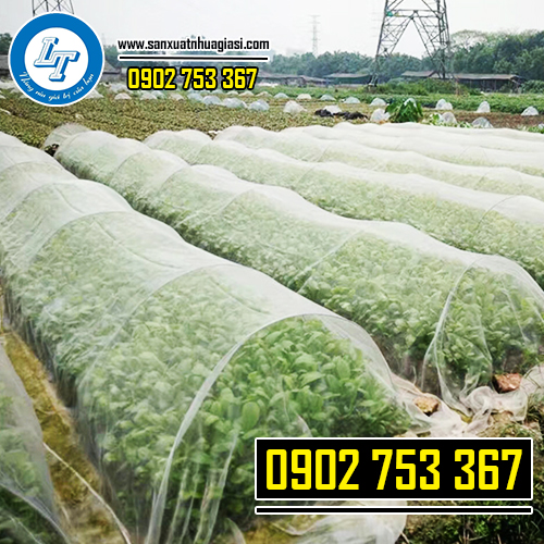 Ứng dụng của lưới mùng trắng làm nhà kính
