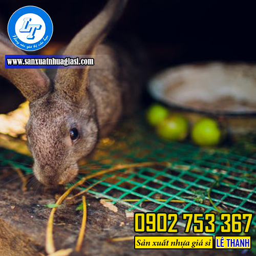 Ưng dụng của lưới thép bọc nhựa Ưng dụng của lưới thép bọc nhựa