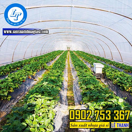 Ứng dụng của màng phủ nhà kính Ứng dụng của màng phủ nhà kính