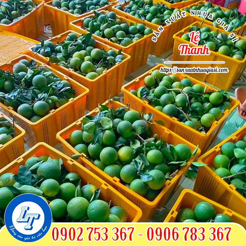 Ứng dụng của rổ nhựa 3T9 Ứng dụng của rổ nhựa 3T9