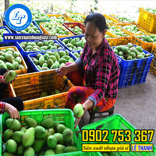 Ứng dụng của rổ nhựa đựng trái cây