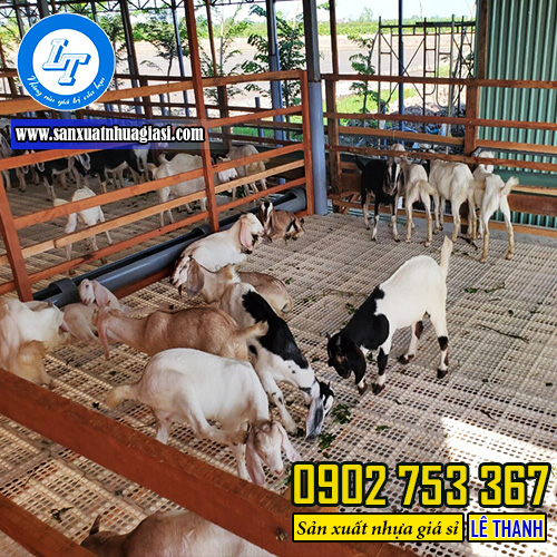 Công dụng của sàn nhựa chăn nuôi 50x100