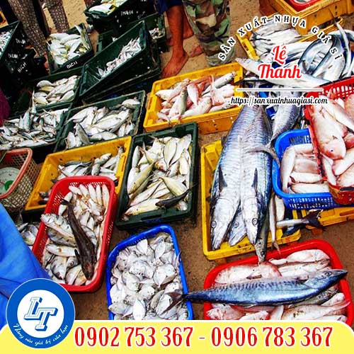 Ứng dụng của sóng nhựa đựng mực, thủy sản Ứng dụng của sóng nhựa đựng mực, thủy sản