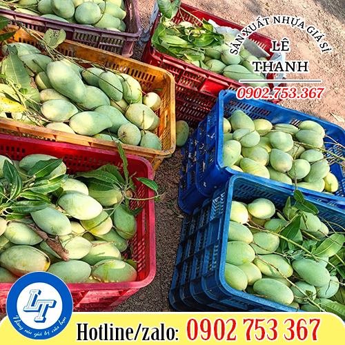 Ứng dụng của sóng nhựa đựng trái cây Ứng dụng của sóng nhựa đựng trái cây