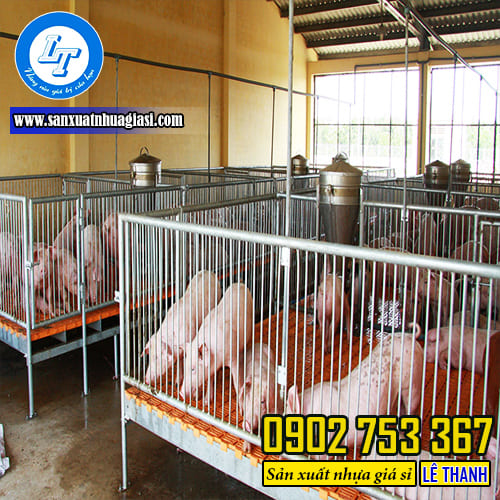 Ứng dụng của tấm nhựa lót sàn chăn nuôi