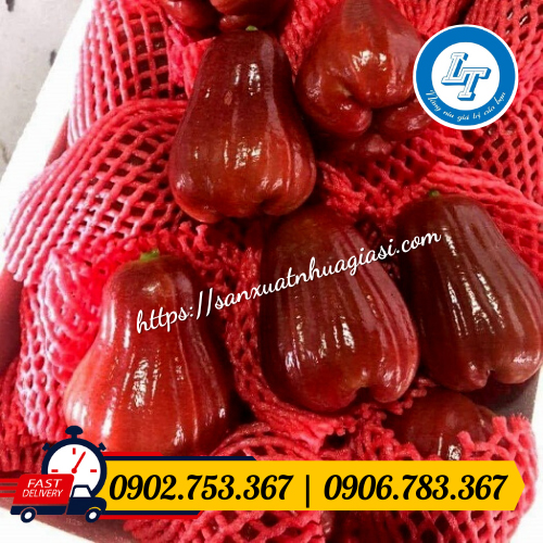 Xốp lưới đỏ để bọc mận Xốp lưới đỏ để bọc mận