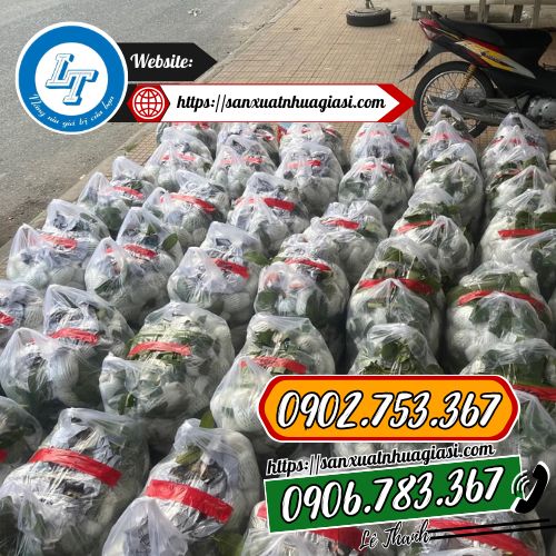 Ứng dụng của túi bóng mỡ màu Ứng dụng của túi bóng mỡ màu