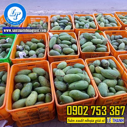 Sóng nhựa đựng xoài Sóng nhựa đựng xoài