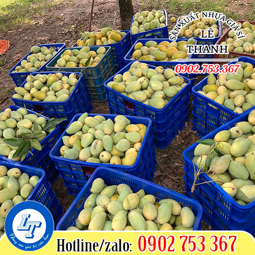 Sóng nhựa hở đựng trái cây, nông sản Sóng nhựa hở đựng trái cây, nông sản