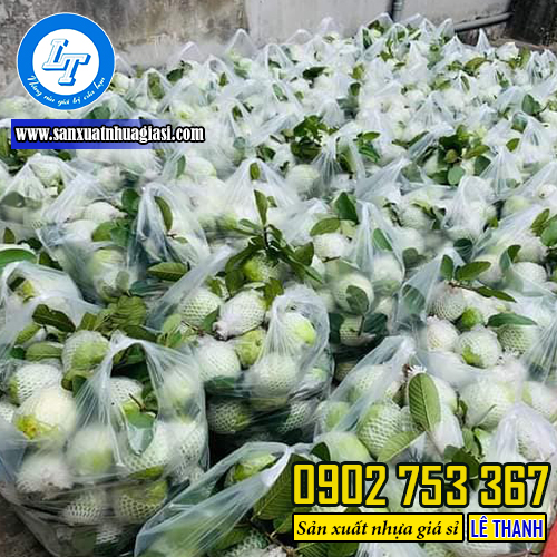 Ứng dụng túi đục lỗ đựng trái cây Ứng dụng túi đục lỗ đựng trái cây