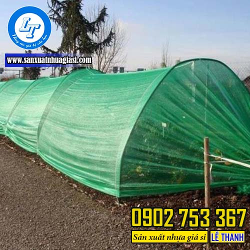 Ứng dụng của cuộn lưới mùng làm nhà kính trồng rau Ứng dụng của cuộn lưới mùng làm nhà kính trồng rau