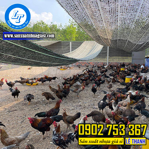 Ứng dụng của lưới lan trong đời sống Ứng dụng của lưới lan trong đời sống