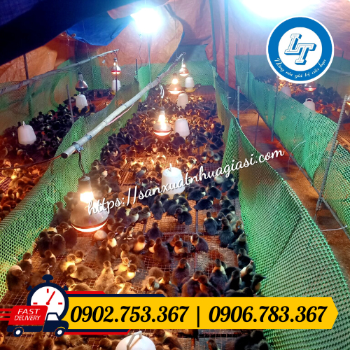 Ứng dụng của lưới ngăn gà vịt trong chăn nuôi Ứng dụng của lưới ngăn gà vịt trong chăn nuôi