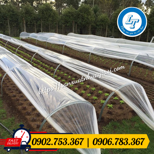 Ứng dụng màng nhà kính trong nông nghiệp Ứng dụng màng nhà kính trong nông nghiệp