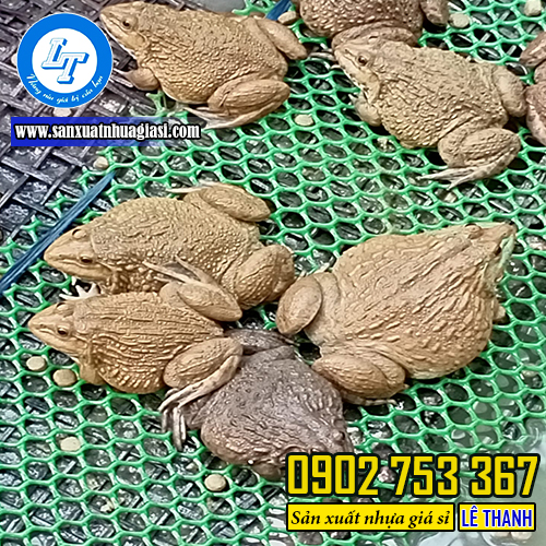 Ứng dụng trong chăn nuôi của lưới nhựa xanh Ứng dụng trong chăn nuôi của lưới nhựa xanh