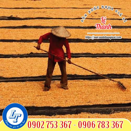 Ứng dụng của lưới mùng đen khi phơi nông sản Ứng dụng của lưới mùng đen khi phơi nông sản