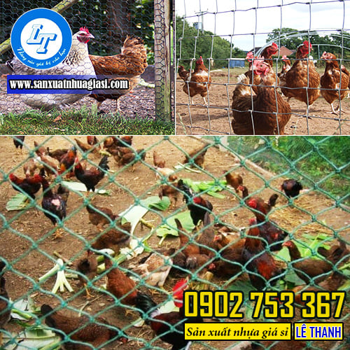 Lưới quây gà vịt