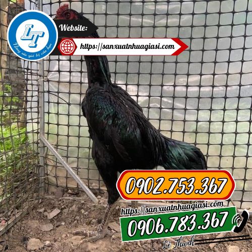 Ứng dụng rào gà vịt, rào vườn của lưới Ứng dụng rào gà vịt, rào vườn của lưới