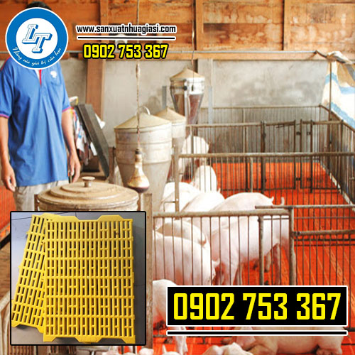 Ứng dụng của tấm nhựa lót chuồng heo
