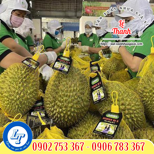 Túi lưới đựng sầu riêng Túi lưới đựng sầu riêng