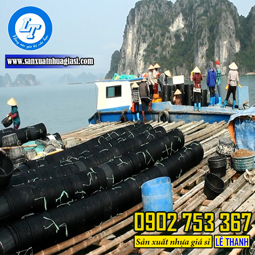 Mô hình nuôi trồng ngao trong rổ nhựa