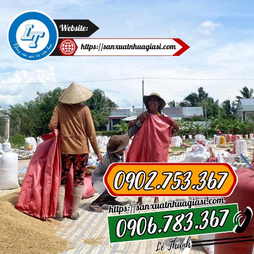 Vai trò của bao dứa trong đời sống Vai trò của bao dứa trong đời sống