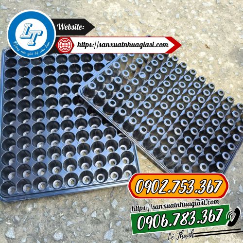Vỉ ươm, khay ươm lỗ tròn Vỉ ươm, khay ươm lỗ tròn