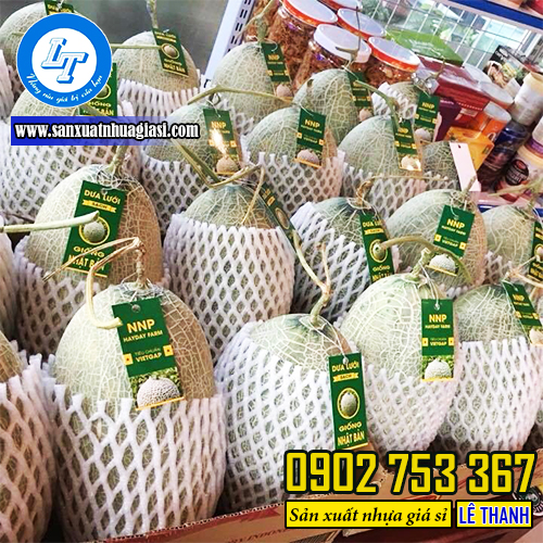 Xốp bọc dưa lưới 22cm