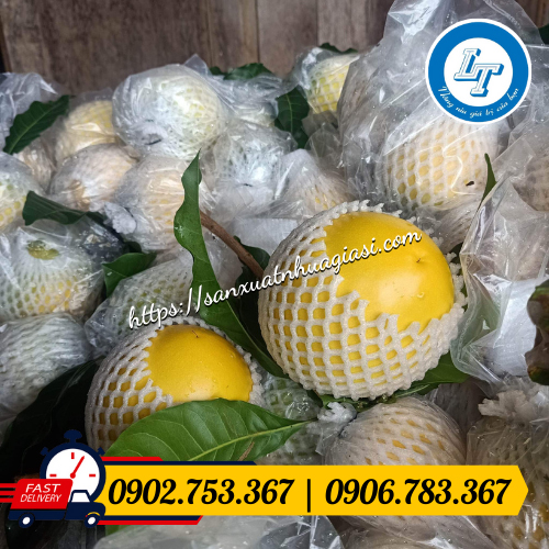 Xốp lưới bọc vú sữa hoàng kim Xốp lưới bọc vú sữa hoàng kim