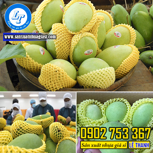 Xốp lưới bọc xoài màu vàng