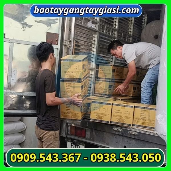 Giao găng tay Y tế Giao găng tay Y tế