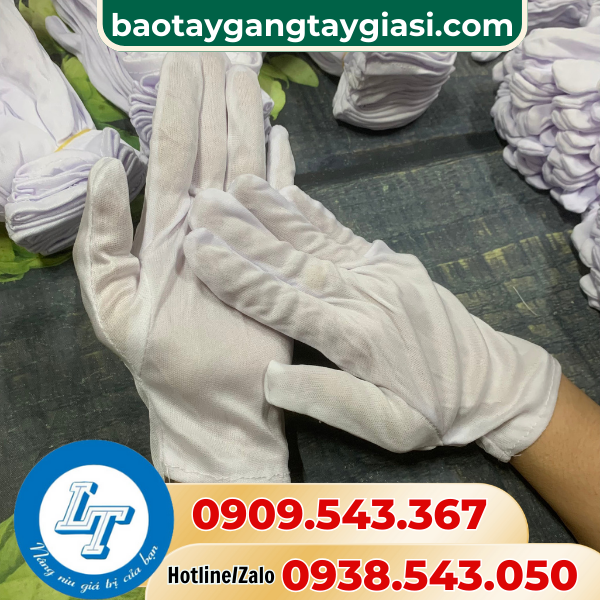Găng tay thun T10 Găng tay thun T10